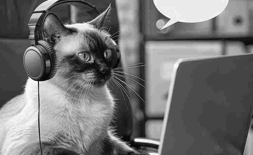 ChatGPT的标准发音是什么