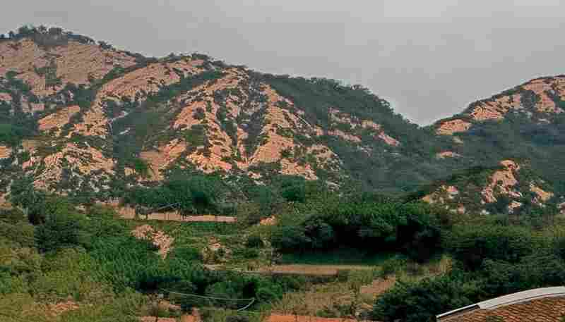 如何避免ChatGPT在中文生成内容时的重复问题