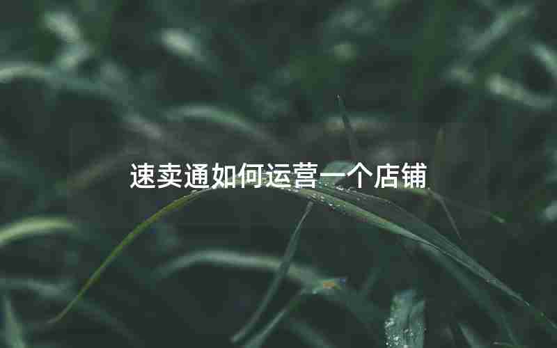 速卖通如何运营一个店铺 速卖通如何运营一个店铺