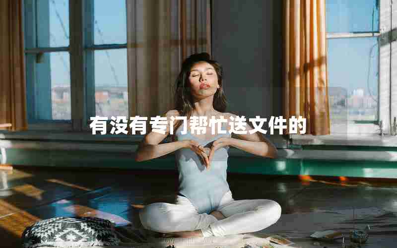 有没有专门帮忙送文件的 有没有专门帮忙送文件的