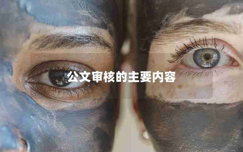公文审核的主要内容
