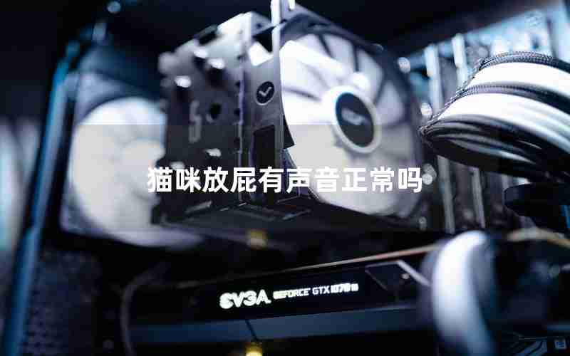 猫咪放屁有声音正常吗