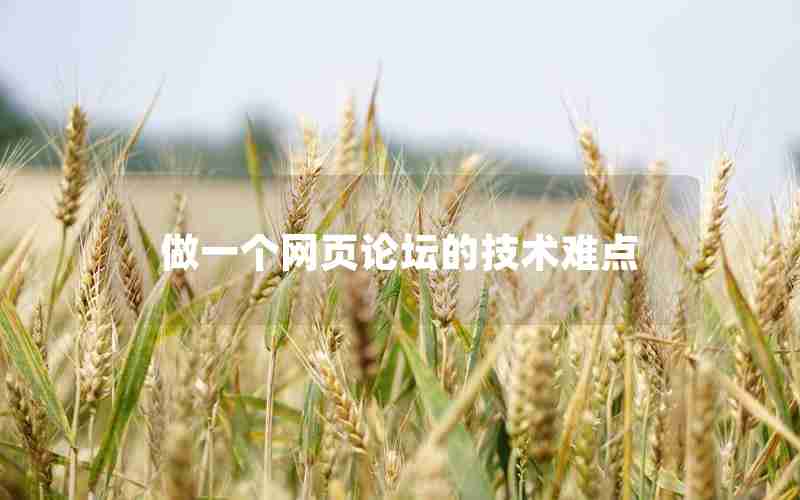 做一个网页论坛的技术难点