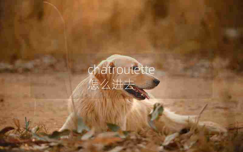 chatroulette怎么进去 chatroulette怎么进去