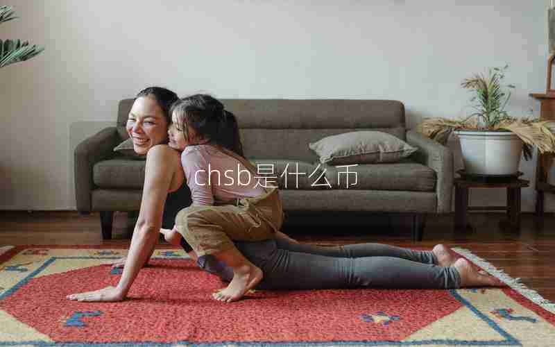 chsb是什么币 chsb是什么币