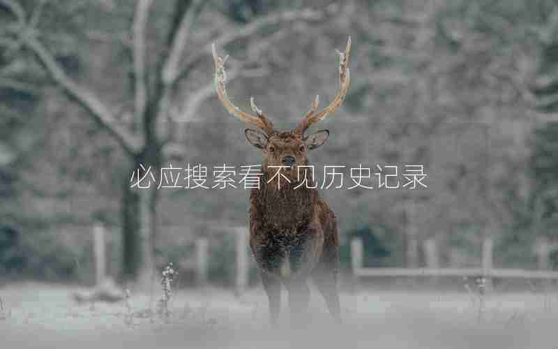 必应搜索看不见历史记录 必应搜索看不见历史记录