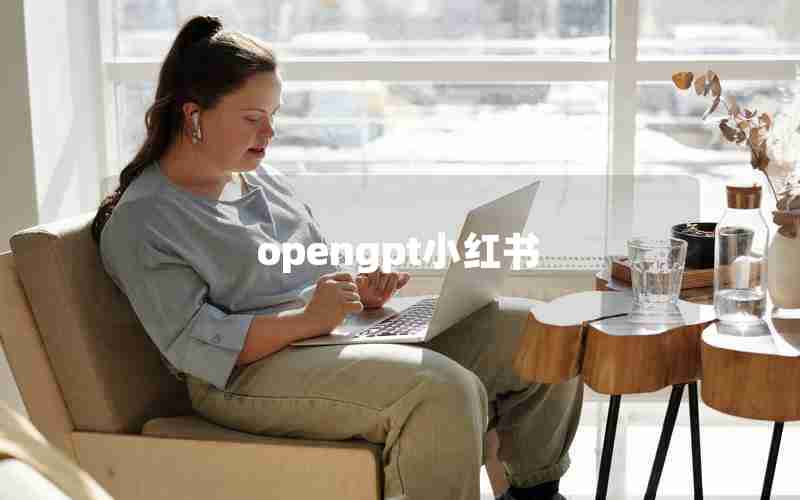 opengpt小红书