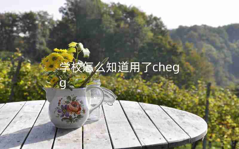 学校怎么知道用了chegg 学校怎么知道用了chegg