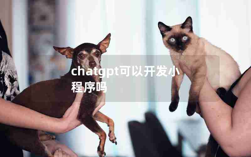 chatgpt可以开发小程序吗