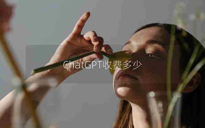 ChatGPT收费多少