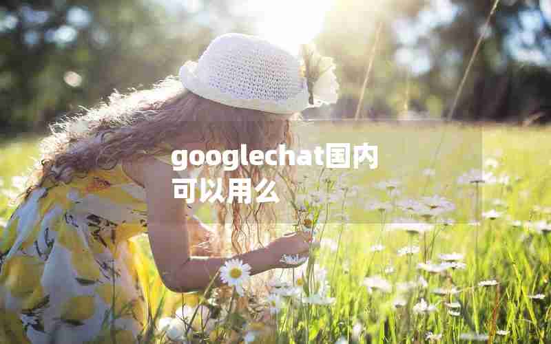 googlechat国内可以用么