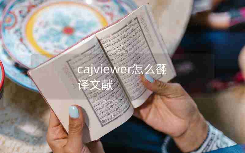 cajviewer怎么翻译文献 cajviewer怎么翻译文献