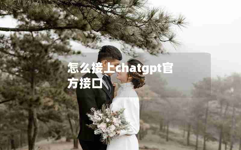 怎么接上chatgpt官方接口 怎么接上chatgpt官方接口