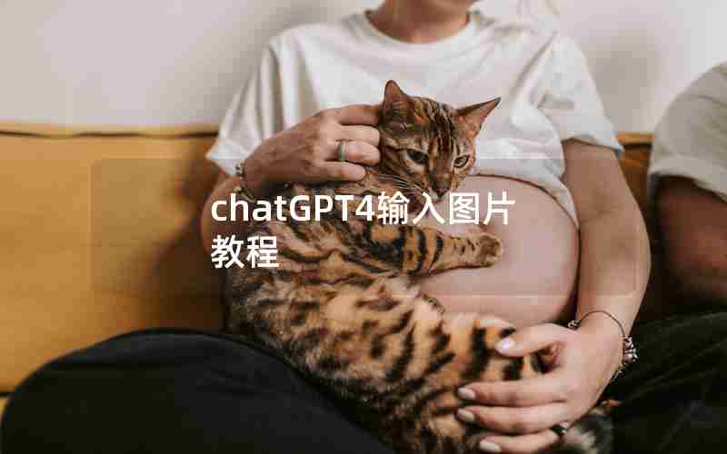 chatGPT4输入图片教程 chatGPT4输入图片教程