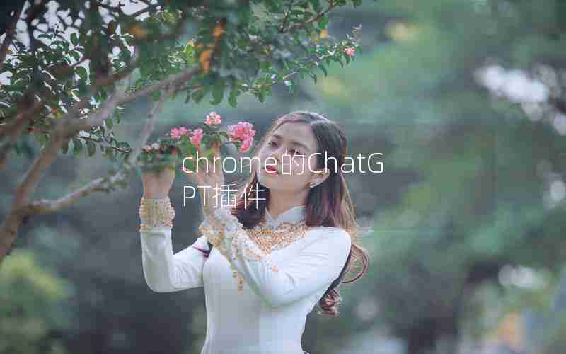 chrome的ChatGPT插件