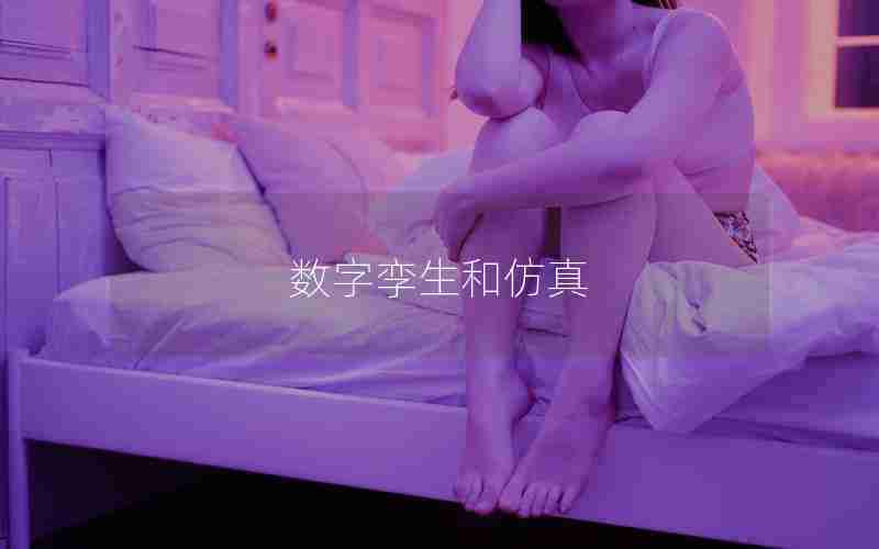 数字孪生和仿真