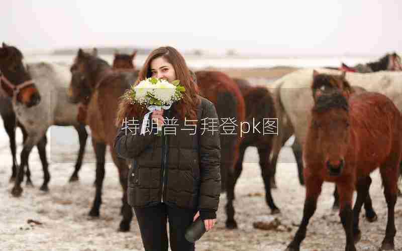 特朗普与拜登pk图 特朗普与拜登pk图