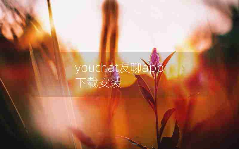 youchat友聊app下载安装 youchat友聊app下载安装