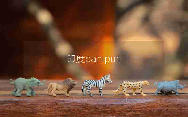 印度panipuri 印度panipuri