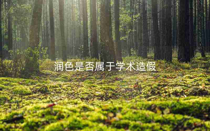 润色是否属于学术造假