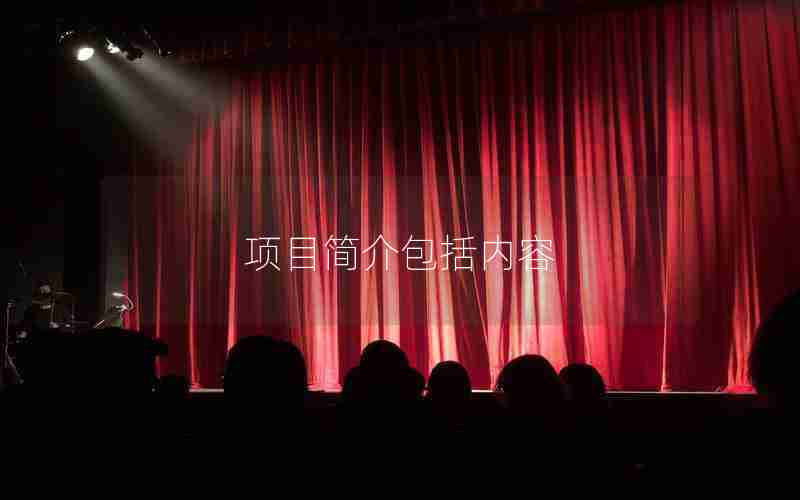 项目简介包括内容