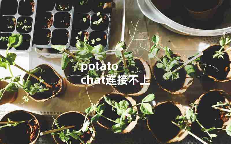 potato chat连接不上 potato chat连接不上