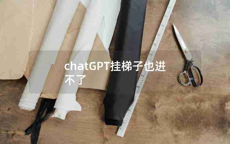 chatGPT挂梯子也进不了