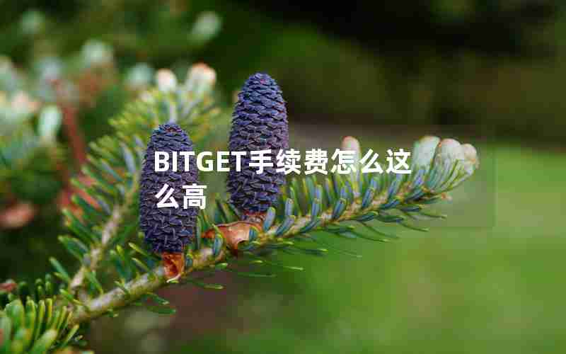 BITGET手续费怎么这么高