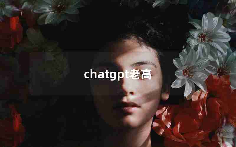 chatgpt老高 chatgpt老高