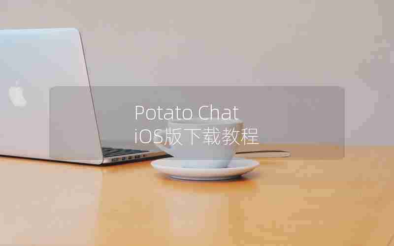 Potato Chat iOS版下载教程