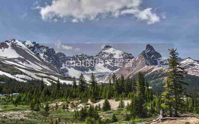 chat的中文谐音 chat的中文谐音