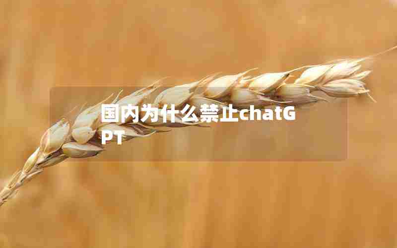 国内为什么禁止chatGPT 国内为什么禁止chatGPT