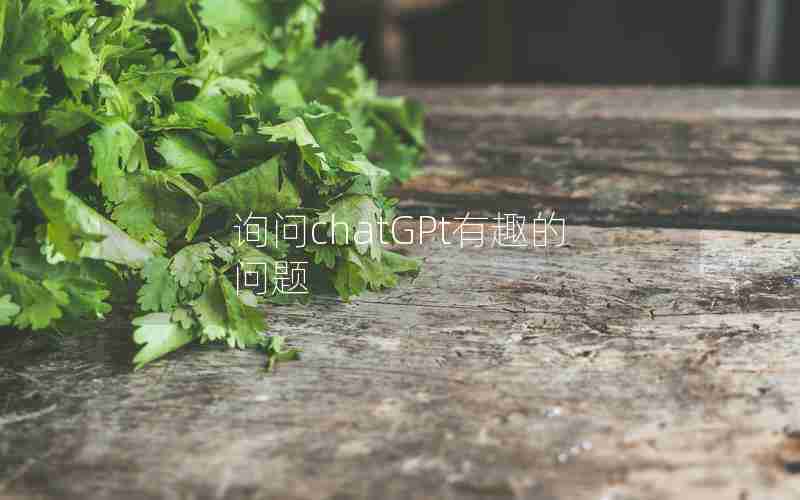询问chatGPt有趣的问题