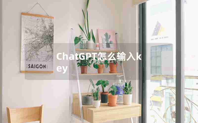 ChatGPT怎么输入key
