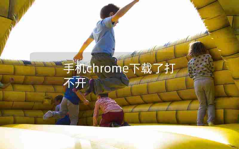 手机chrome下载了打不开 手机chrome下载了打不开
