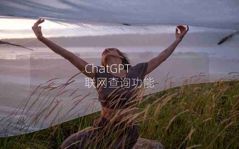 ChatGPT 联网查询功能