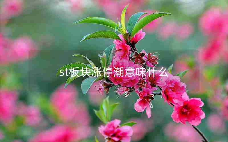 st板块涨停潮意味什么 st板块涨停潮意味什么