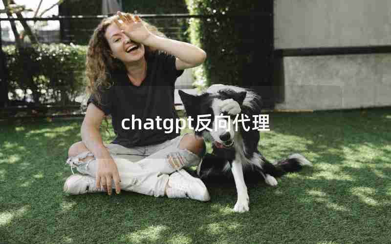 chatgpt反向代理 chatgpt反向代理