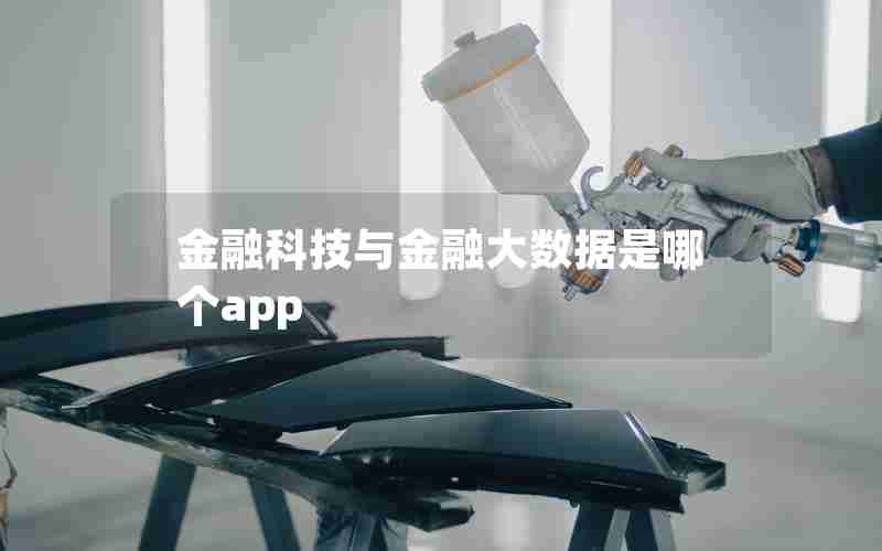 金融科技与金融大数据是哪个app