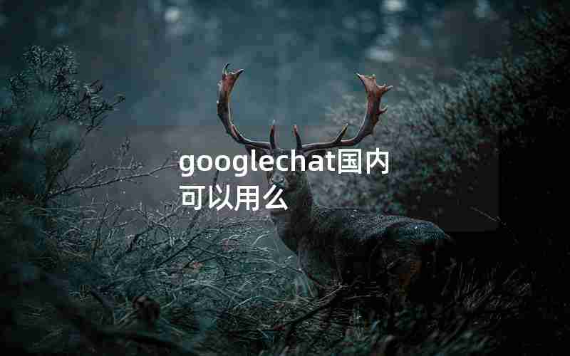 googlechat国内可以用么