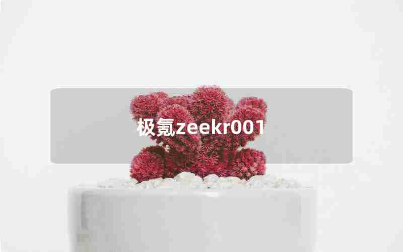 极氪zeekr001