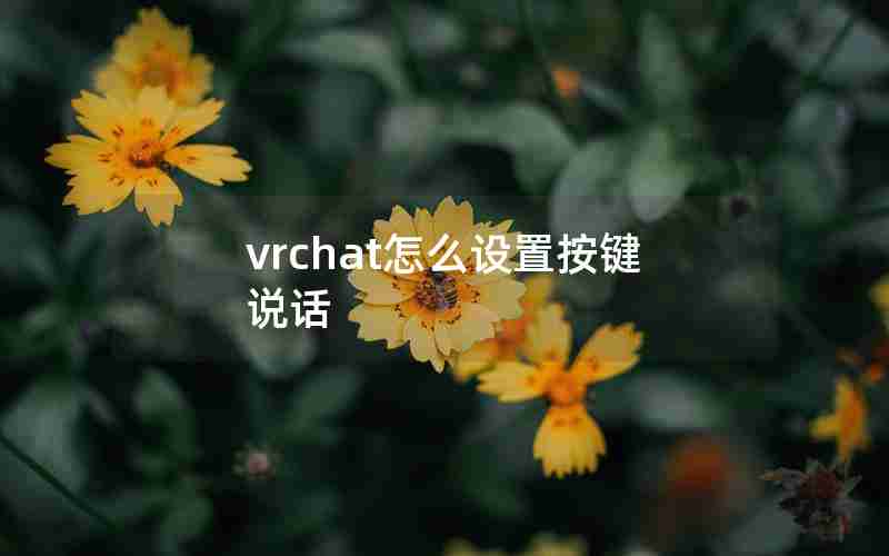 vrchat怎么设置按键说话