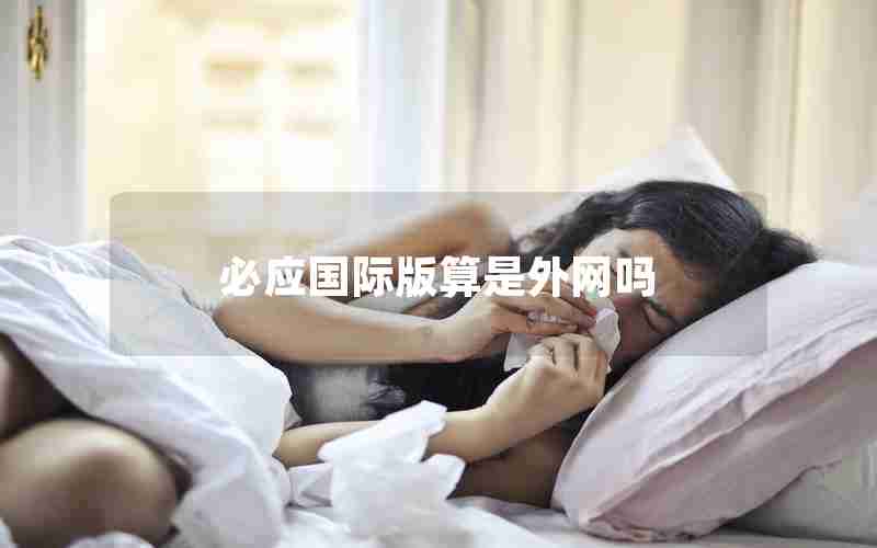 必应国际版算是外网吗