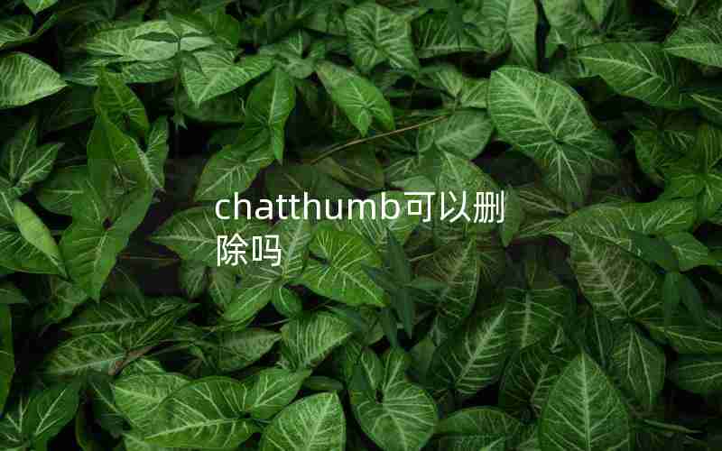 chatthumb可以删除吗 chatthumb可以删除吗