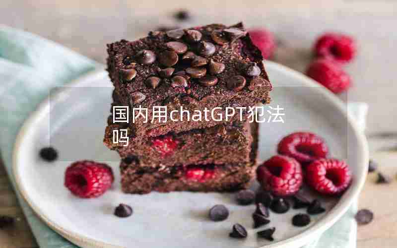 国内用chatGPT犯法吗