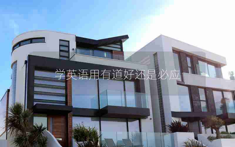 学英语用有道好还是必应