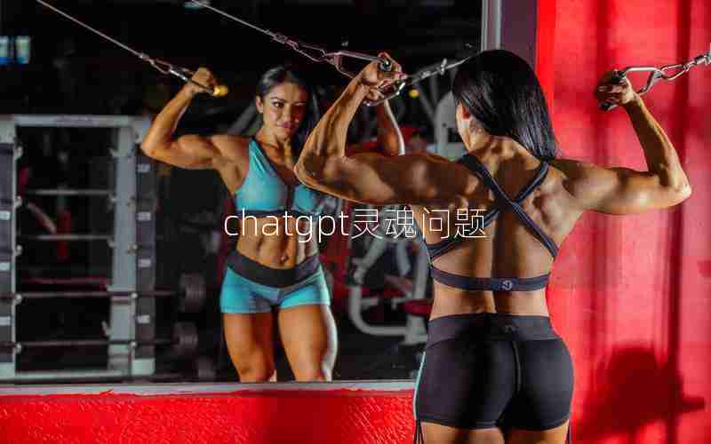 chatgpt灵魂问题