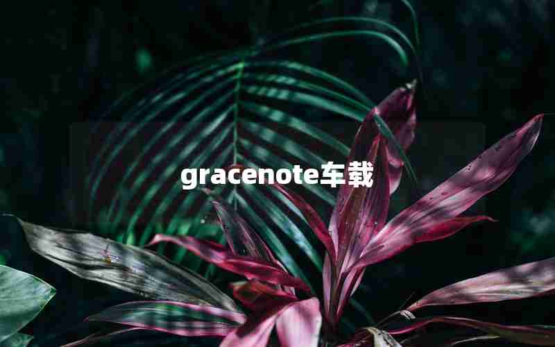 gracenote车载