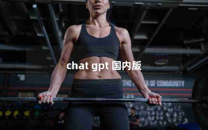 chat gpt 国内版