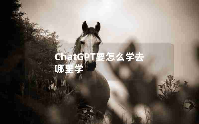 ChatGPT要怎么学去哪里学 ChatGPT要怎么学去哪里学